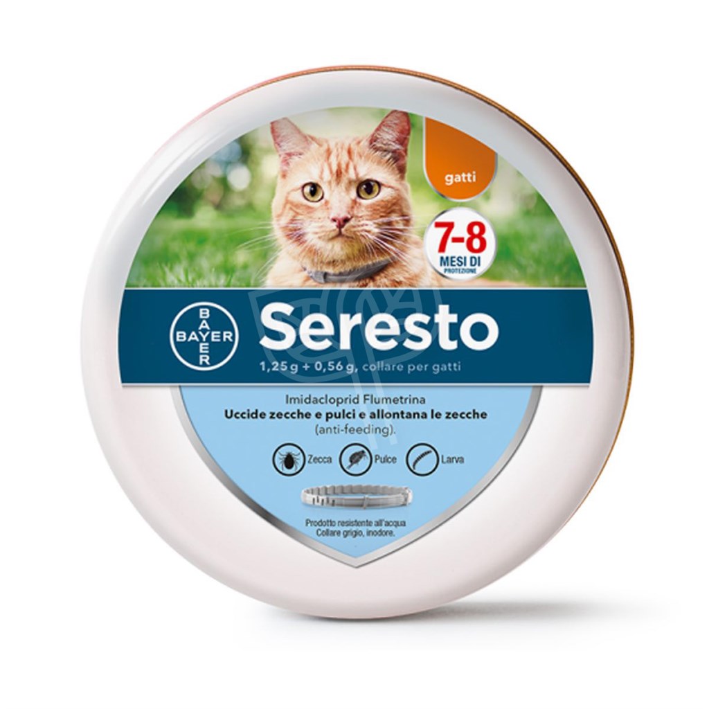 SERESTO BAYER COLLARE GATTO